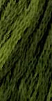 GA0196 Green with Envy