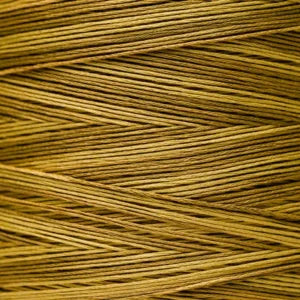 WDW1223 Schneckley