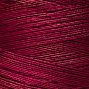 WDW1336 Raspberry