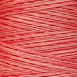 WDW2249 Sockeye