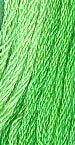 GA0191 Kiwi