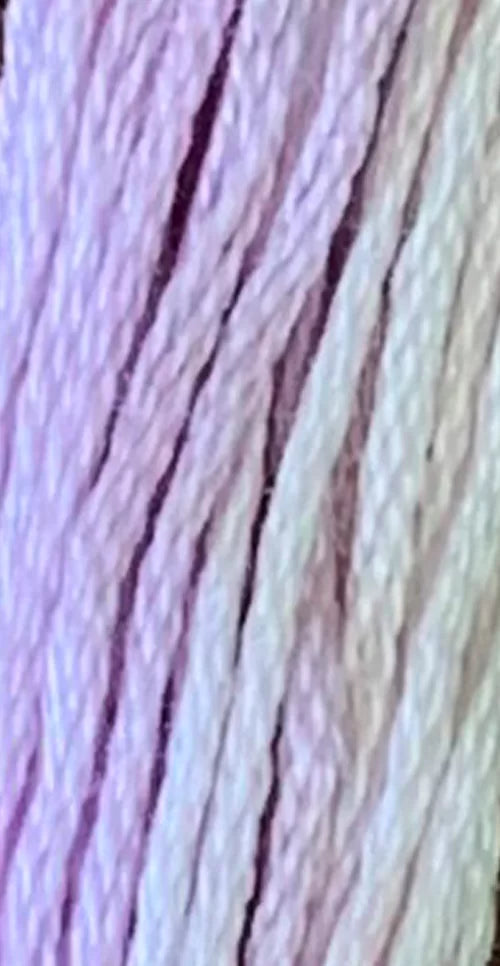 GA0811 Wisteria