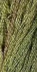 GA7074 Chives