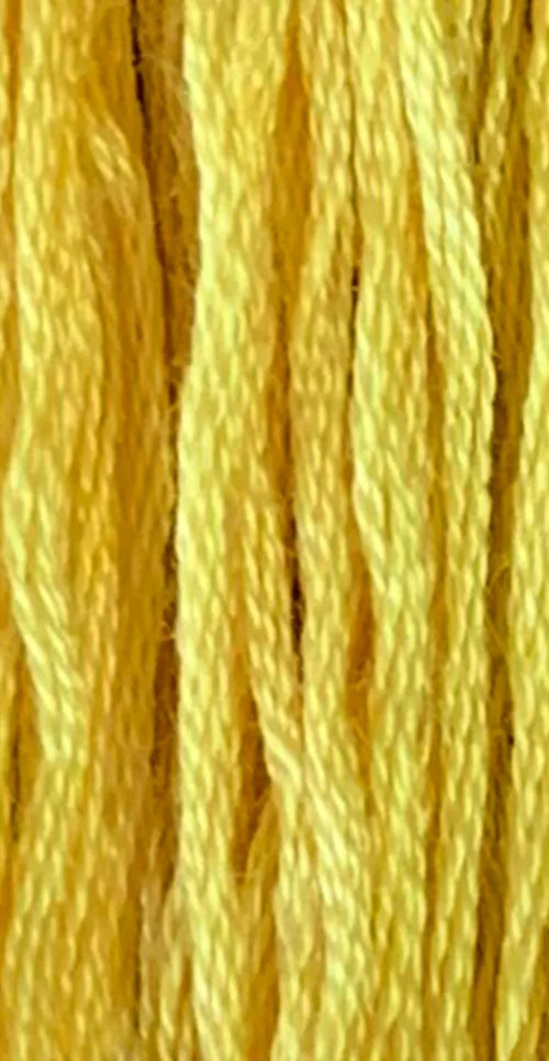 GA7105 Golden Rod