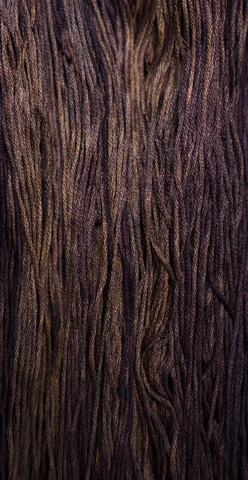 GA7107 Eggplant