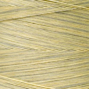 WDW1113 Moonglow