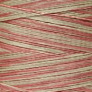 WDW1132 Saltwater Taffy