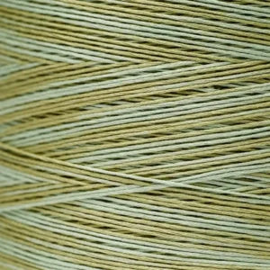 WDW1191 Dried Sage