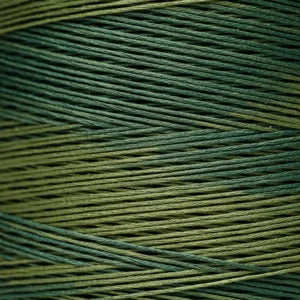 WDW1276 Blue Spruce