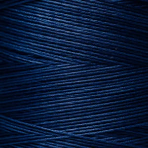 WDW1309 Michael's Navy