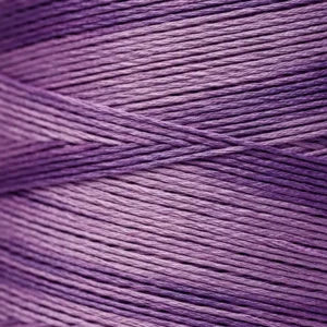 WDW2020 Amethyst