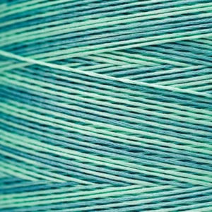 WDW2131 Aqua
