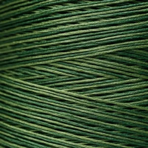 WDW2168 Monkey Grass