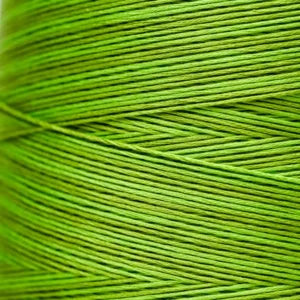 WDW2204a Paris Green