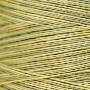 WDW2210 Citronella