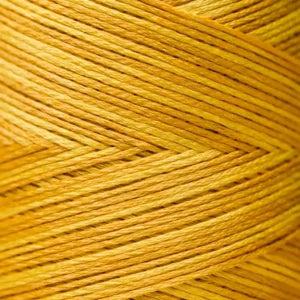 WDW2224 Squash