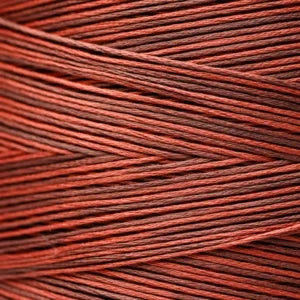 WDW2256 Adobe
