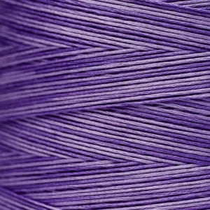 WDW2333 Peoria Purple
