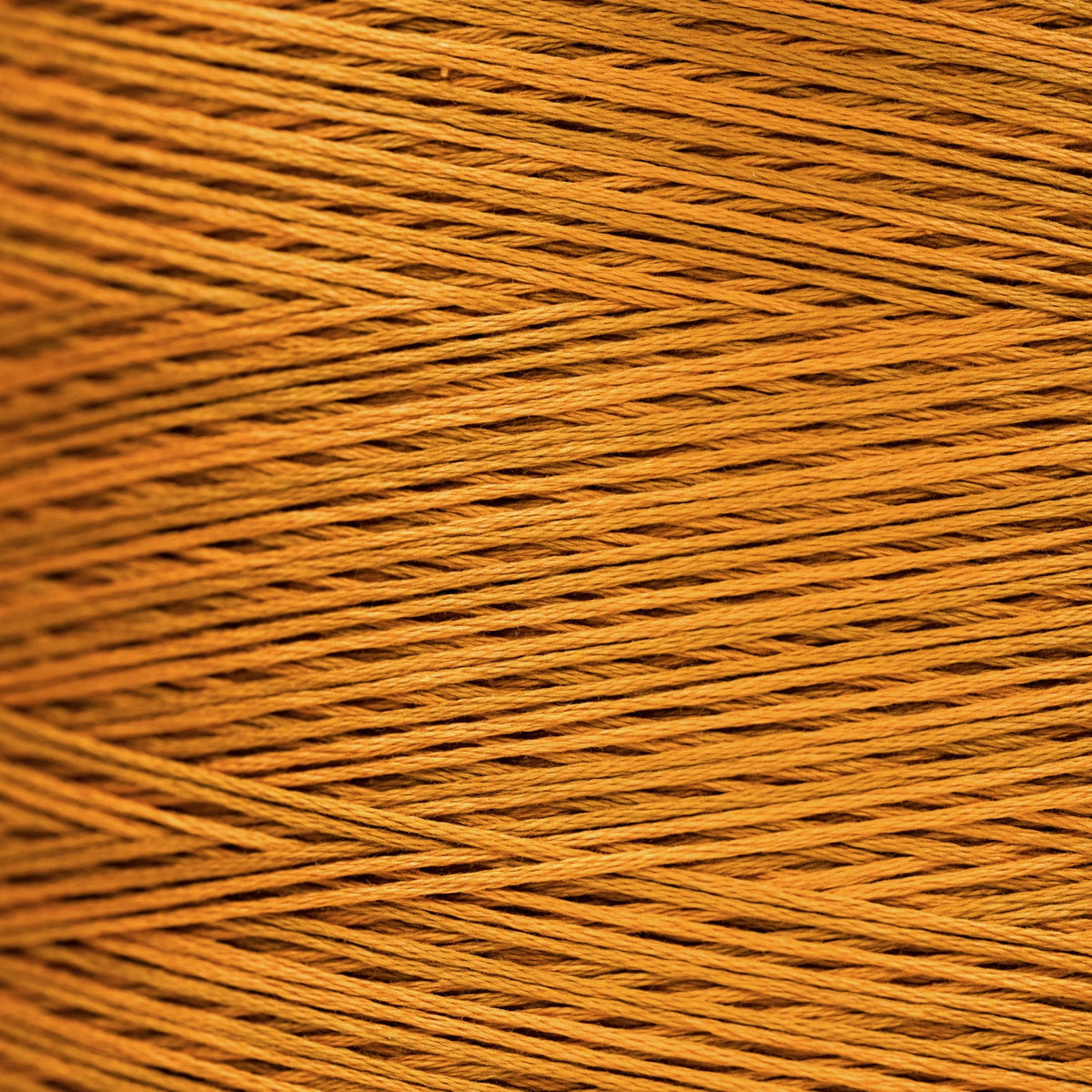 WDW1227a Turmeric